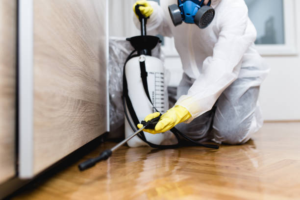 Best Pest Control Cost  in Chleston, AR