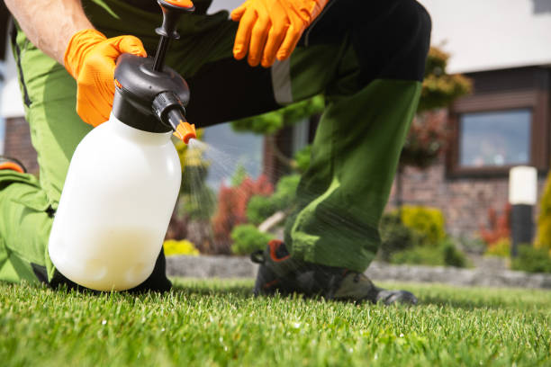 Best Emergency Pest Control  in Chleston, AR