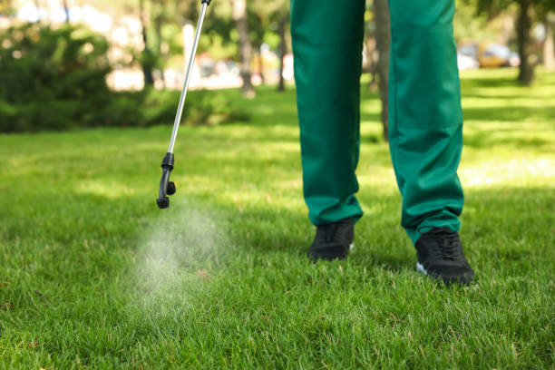 Best Pest Control Near Me  in Chleston, AR