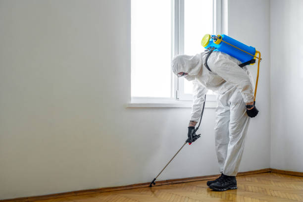 Best Exterminator Services  in Chleston, AR