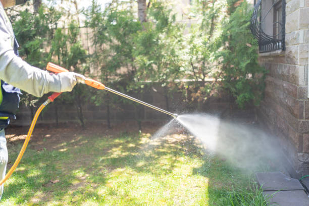 Best Pest Prevention Services  in Chleston, AR