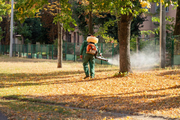 Best Pest Removal Services  in Chleston, AR