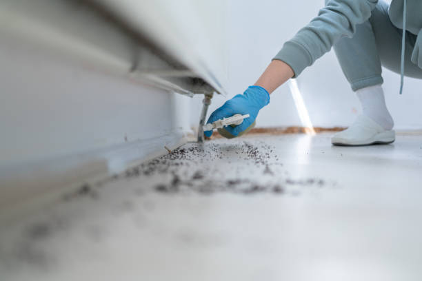 Best Best Pest Control Companies  in Chleston, AR
