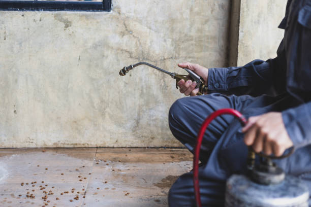 Best Mosquito Control Services  in Chleston, AR